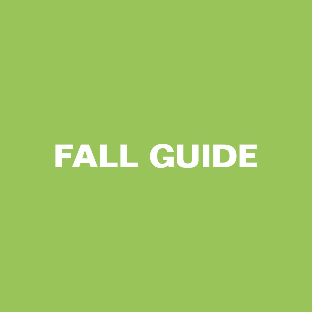 EFTERÅRETS REJSE-GUIDE I DANMARK